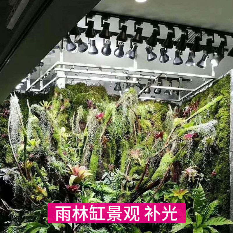 Светодиодная лампа для растени – обзор и цена Plant Grow Light Full Spectrum