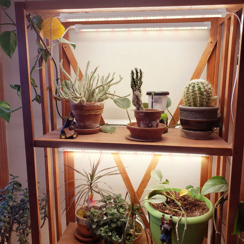 Светодиодная лампа T8 для раст – обзор и цена Plant Grow Light Full Spectrum