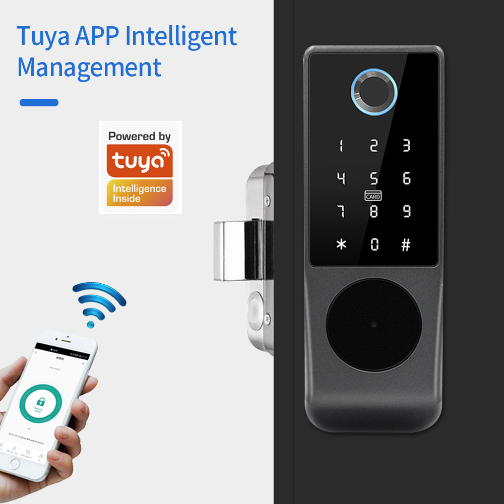 TUYA WIFI умный дверной замок  – обзор и цена Smart Garden Lock