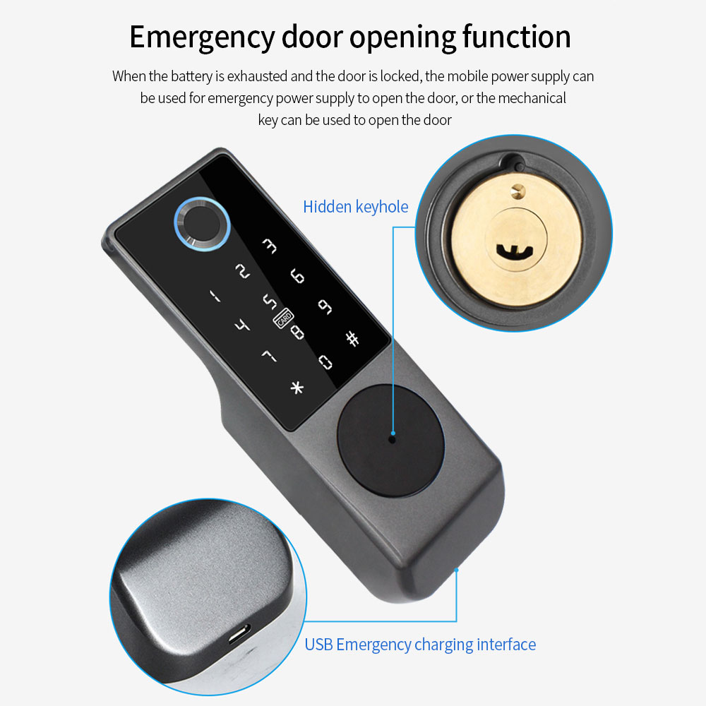 TUYA WIFI умный дверной замок  – обзор и цена Smart Garden Lock