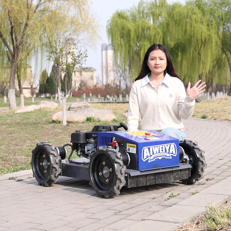 Автоматическая роботизированна – обзор и цена Smart Garden Trimmer