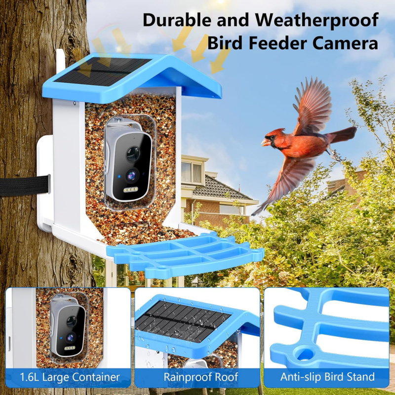 Умная кормушка для птиц с Wi-F – обзор и цена Smart Bird Feeder Camera