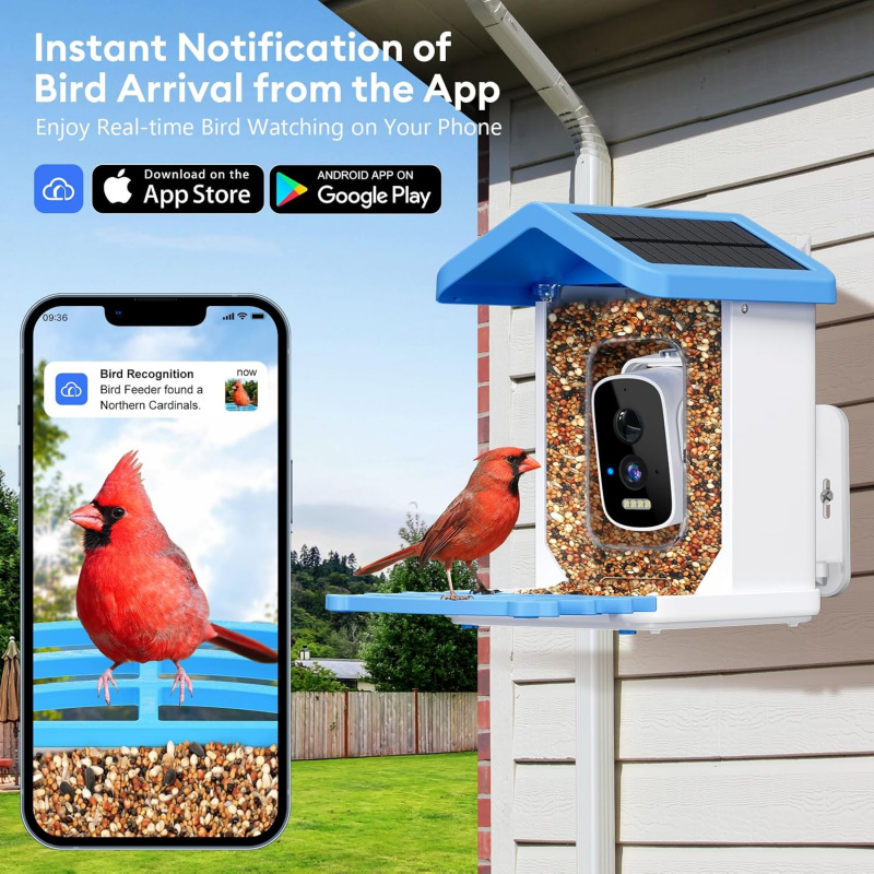 Умная кормушка для птиц с Wi-F – обзор и цена Smart Bird Feeder Camera