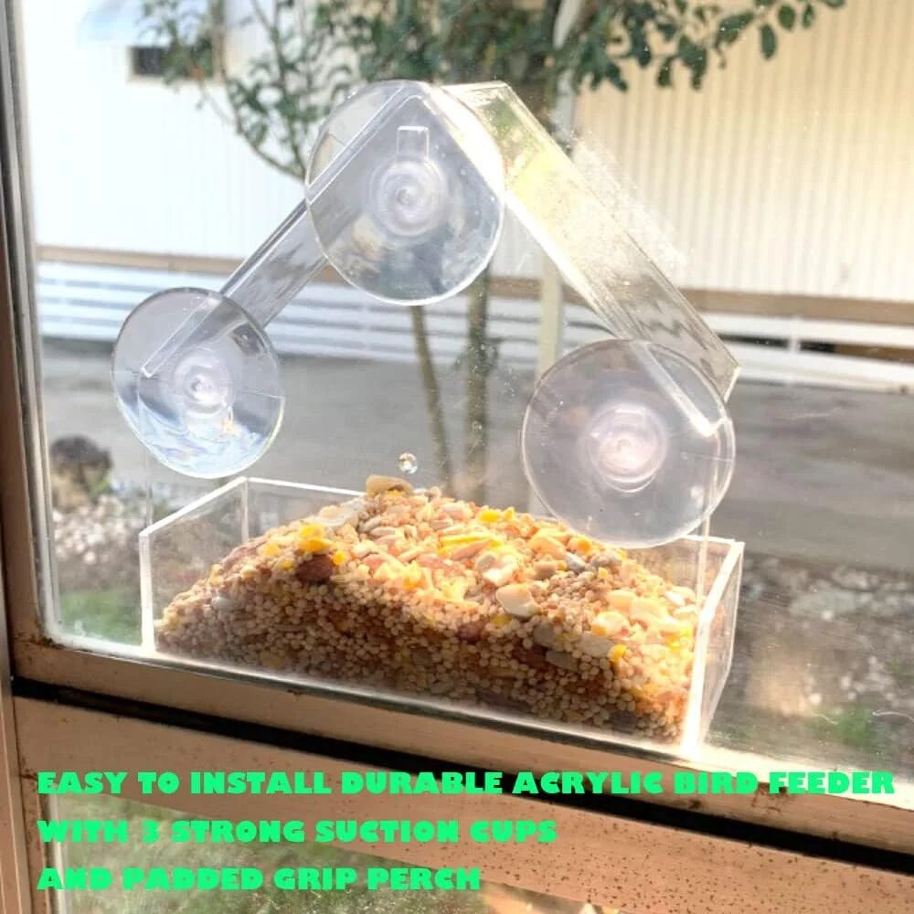 Акриловая кормушка для птиц с  – обзор и цена Smart Bird Feeder Camera